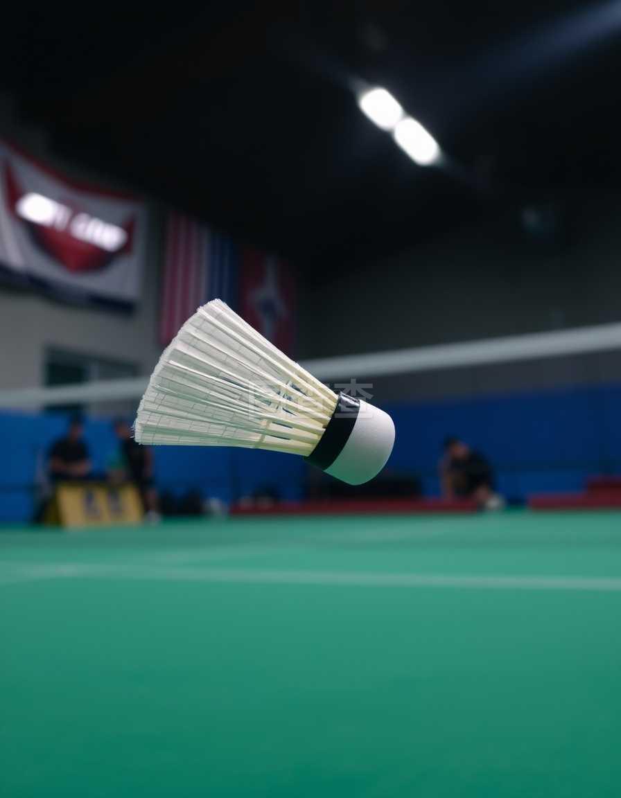 他的技艺 他的技艺